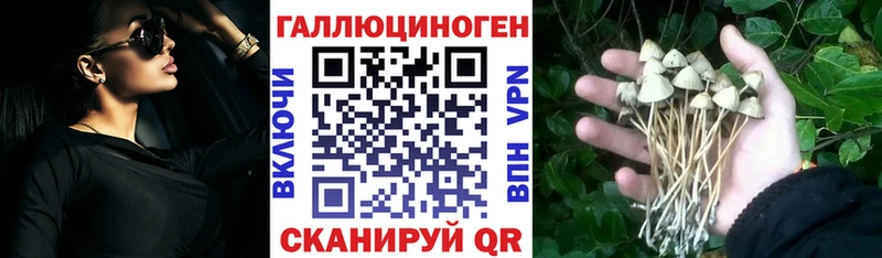 Галлюциногенные грибы мицелий  Суджа 