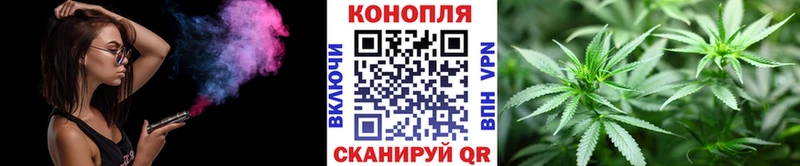 Шишки марихуана план  где продают   Суджа 